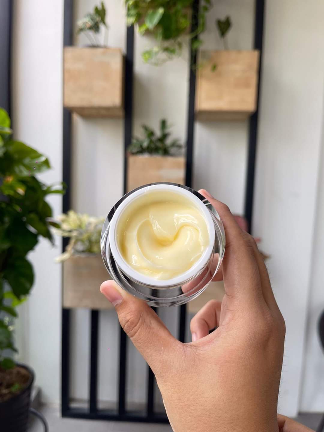 Eaoron - Propolis Cream - Lemonbaby