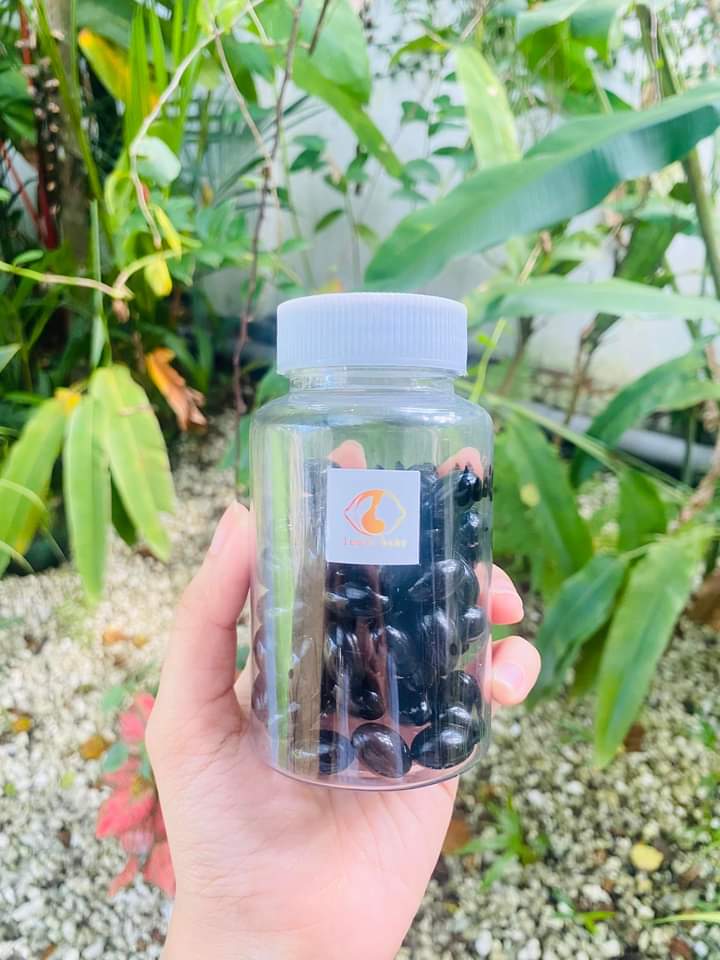 Swisse - CoQ10 - Lemonbaby