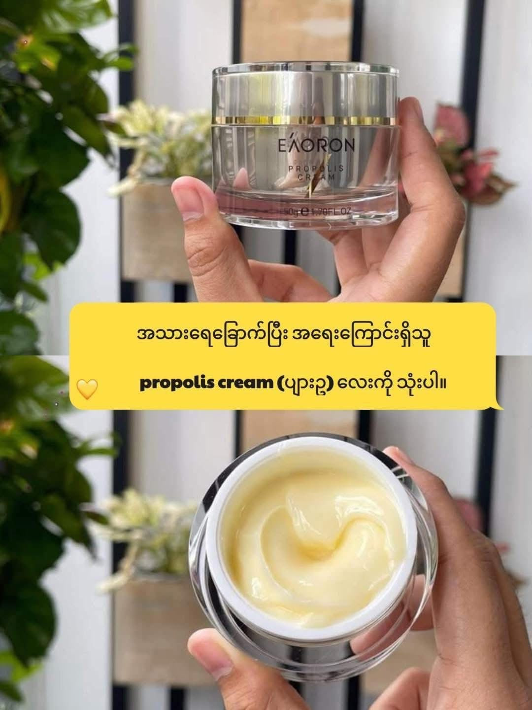 
                  
                    Eaoron - Propolis Cream
                  
                