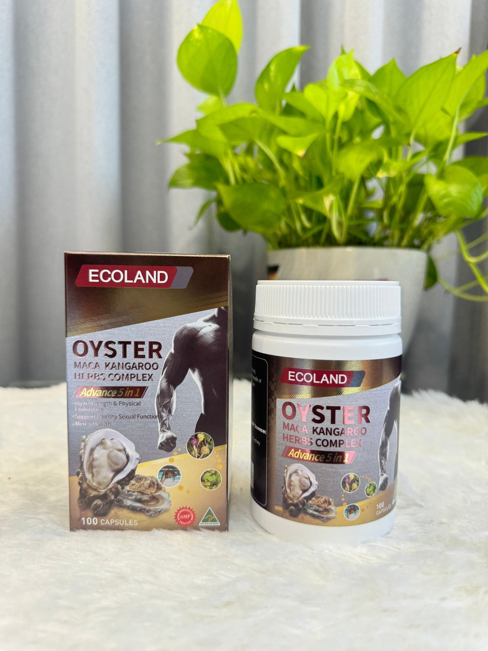 Ecoland Oyster - 100 capsules - Lemonbaby