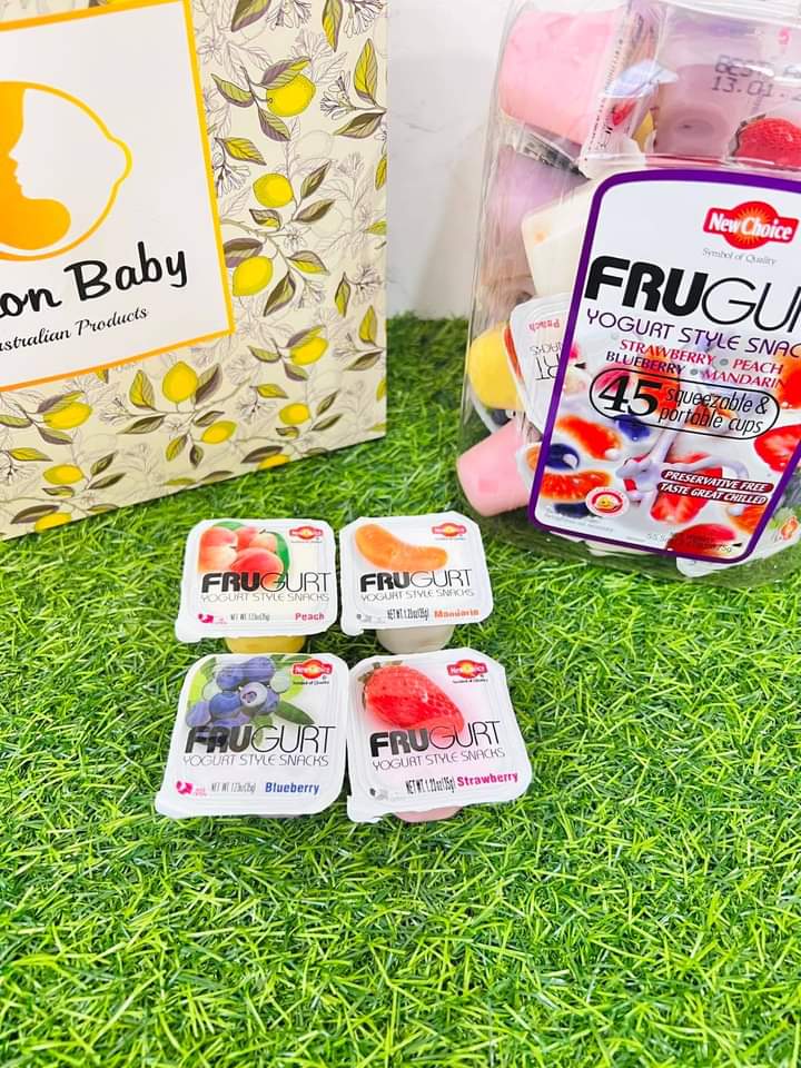 
                  
                    Frugurt yoghurt Pudding - Lemonbaby
                  
                