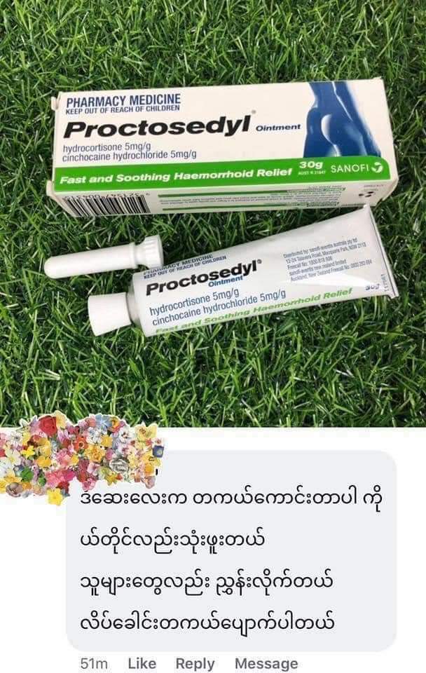 
                  
                    Proctosedyl Ointment - Lemonbaby
                  
                